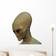 Alien Invader 1 W/ Clipping Mask Wall Decal
