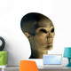 alien invader Wall Decal