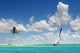 Sailboat Sailing on Tropical Seas Wall Mural
