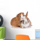 Rabbit with Guinea Pig Wall Decal