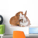 Rabbit with Guinea Pig Wall Decal