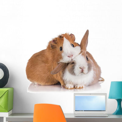 Rabbit with Guinea Pig Wall Decal shown on a wall