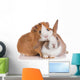 Rabbit with Guinea Pig Wall Decal