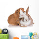 Rabbit with Guinea Pig Wall Decal