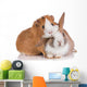 Rabbit with Guinea Pig Wall Decal
