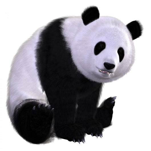 Pandabear Wall Decal