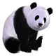 Pandabear Wall Decal