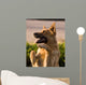 German Shepherd Mix Begging in Afternoon Sunlight Wall Mural