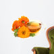 Herbal Calendula Tea Wall Decal