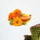 Herbal Calendula Tea Wall Decal