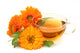 Herbal Calendula Tea Wall Decal