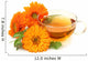 Herbal Calendula Tea Wall Decal