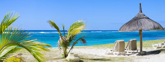 Tropical Paradise Wall Mural