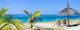 Tropical Paradise Wall Mural