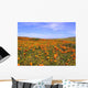Poppy Reserve Desert Wall Decal