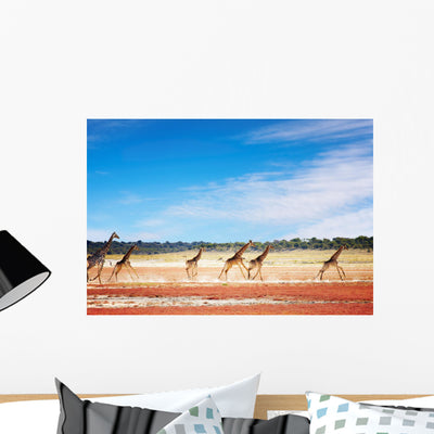 Running Giraffes Wall Mural shown on a wall