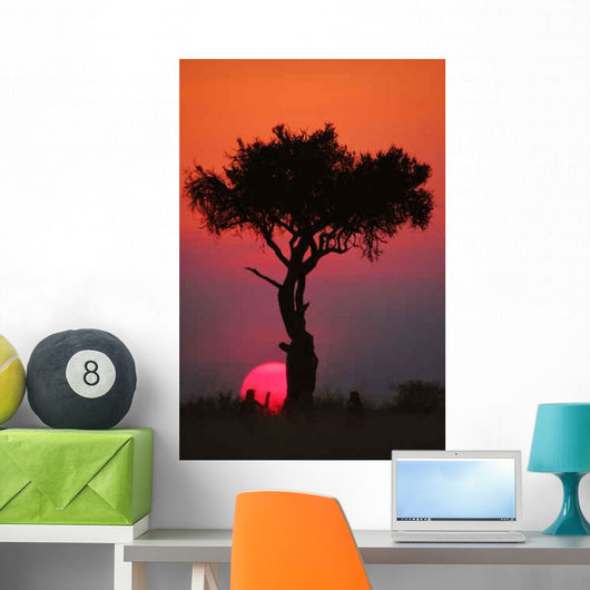 African Sunset Masai Mara Wall Decal