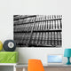 Legal Books Wall Mural