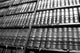Legal Books Wall Mural