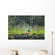Sprinkler Water with Drops Wall Decal