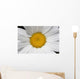 Daisy Wall Mural