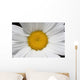 Daisy Wall Mural