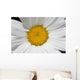 Daisy Wall Mural