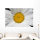 Daisy Wall Mural