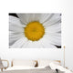 Daisy Wall Mural