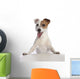 Jack Russell Terrier Standing Wall Decal