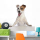 Jack Russell Terrier Standing Wall Decal