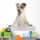 Jack Russell Terrier Standing Wall Decal