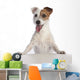 Jack Russell Terrier Standing Wall Decal