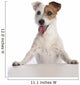 Jack Russell Terrier Standing Wall Decal