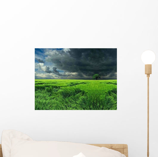 Dark Clouds over Field Wall Decal