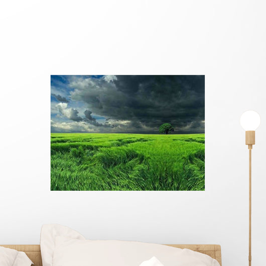 Dark Clouds over Field Wall Decal