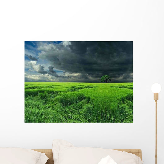 Dark Clouds over Field Wall Decal