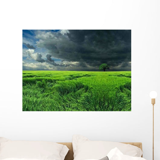 Dark Clouds over Field Wall Decal