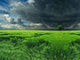 Dark Clouds over Field Wall Decal