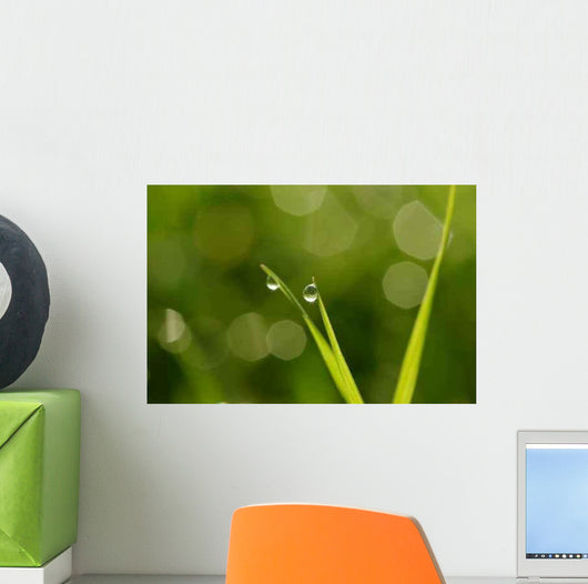 Drops Condensation Wall Decal Design 2