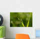 Drops Condensation Wall Decal Design 2