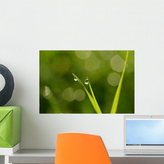 Drops Condensation Wall Decal Design 2