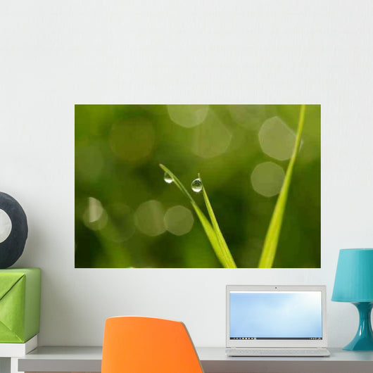 Drops Condensation Wall Decal Design 2