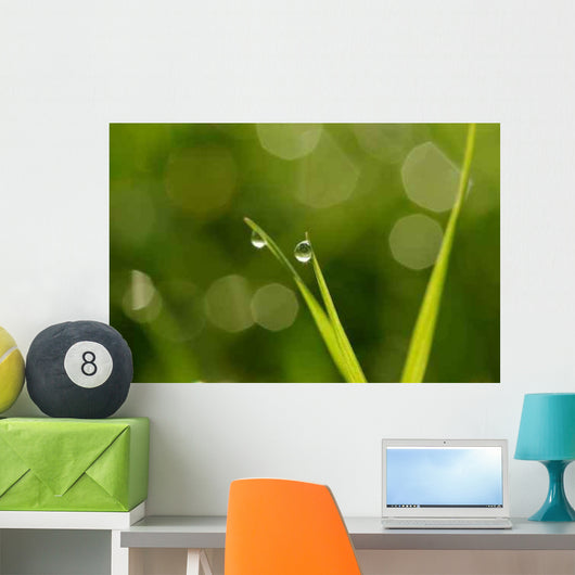 Drops Condensation Wall Decal Design 2