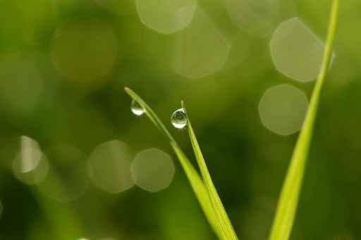Drops Condensation Wall Decal Design 2