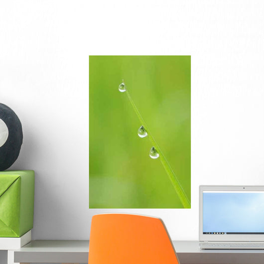Drops Condensation Wall Decal Design 1