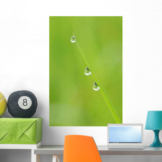 Drops Condensation Wall Decal Design 1