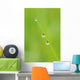 Drops Condensation Wall Decal Design 1