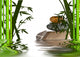 Zen Wall Decal