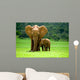 Elephant Mother With Cub Wall Mural